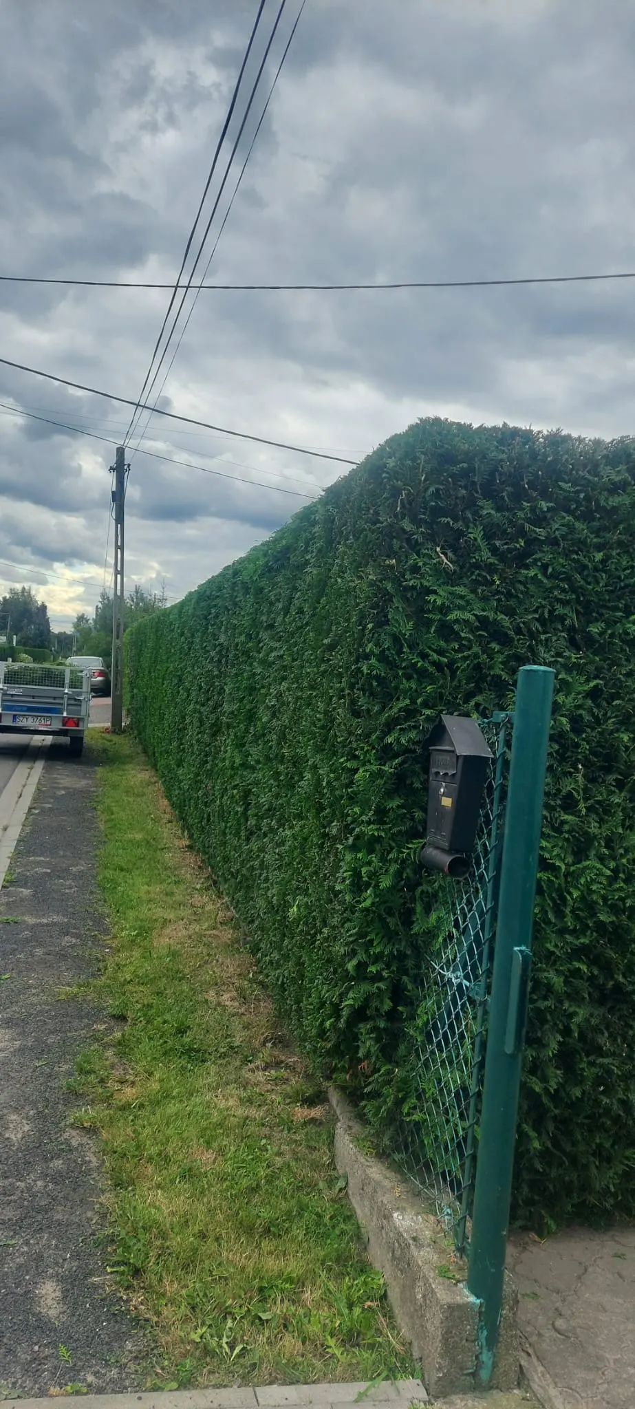 Przycięty żywopłot przy bramce i skrzynce na listy